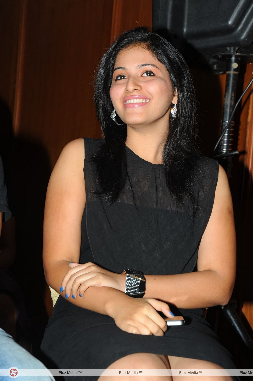 Anjali at Journey Audio Launch Pictures | Picture 127195